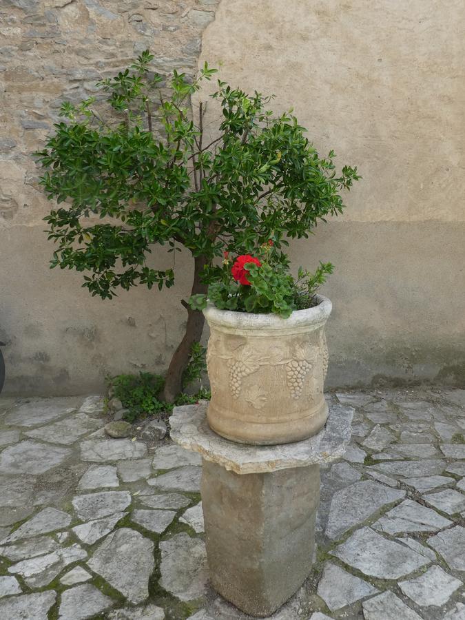 Chambre d'hôtes Eloi Merle Olonzac Exterior foto